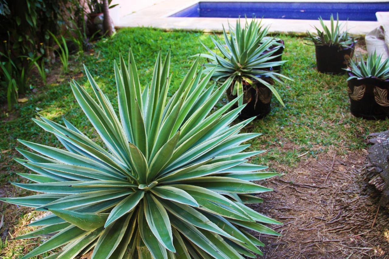 Amaxing Cancun Airport Luaran gambar